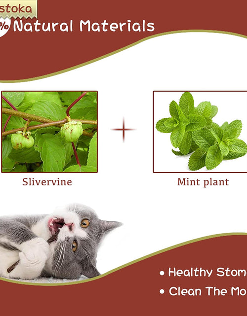 Load image into Gallery viewer, Cat Toys - Silvervine &amp; Matatabi Catnip Toys, 10PCS Indoor Kitty Chew Sticks &amp; Wand Toys for Bored Cats
