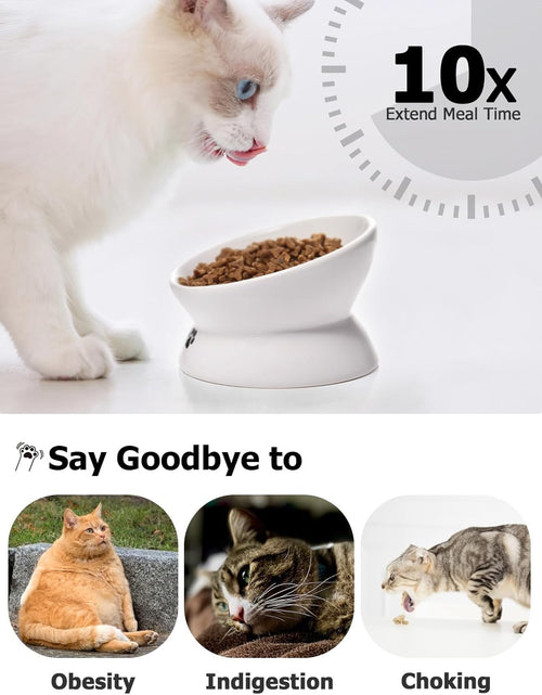 Load image into Gallery viewer, Cat Bowl anti Vomiting, Raised Cat Food Bowls, Tilted Elevated Cat Bowl, Ceramic Pet Food Bowl for Flat Faced Cats, Small Dogs, Protect Pet'S Spine, Dishwasher Safe
