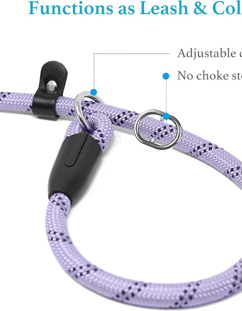 Load image into Gallery viewer, 6 FT Durable Slip Lead Dog Leash with Padded Handle and Highly Reflective Threads, Dog Training Leash, (Small, 0~35 Lbs, Black)
