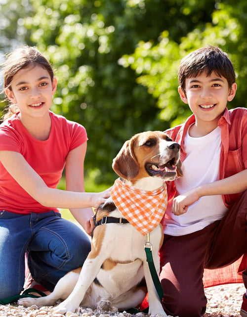 Load image into Gallery viewer, 12 Piece Dog Bandanas Plaid Dog Scarf Pet Triangle Bibs Adjustable Accessories Bulk Kerchief Buffalo Plaid Bandanas Decor for Small or Medium Cat Dog Pet (Lattice Graphic)
