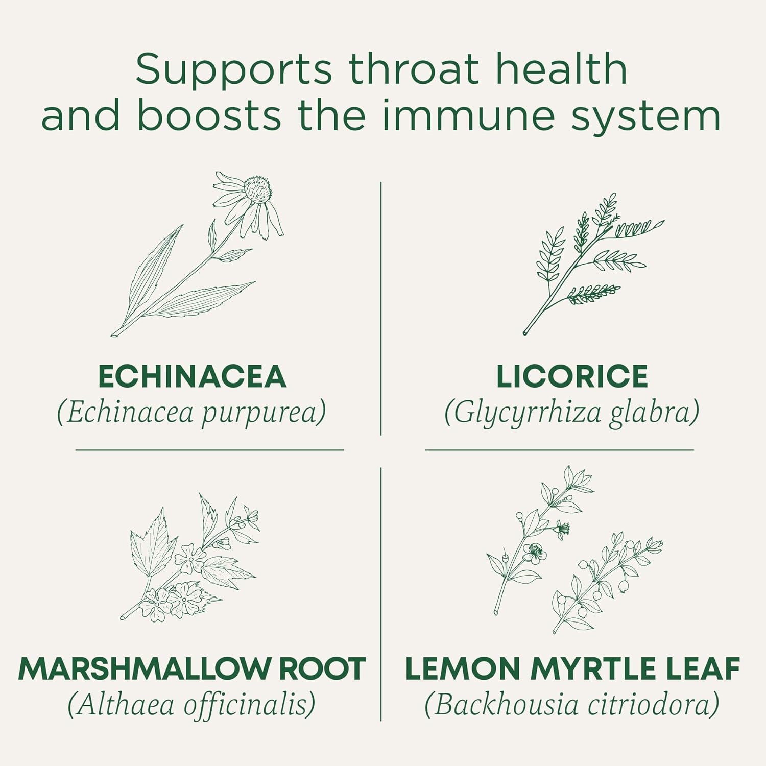 Throat Coat Organic Pectin Throat Drops, Lemon Ginger Echinacea, Soothes Sore Throats, 16Ct.